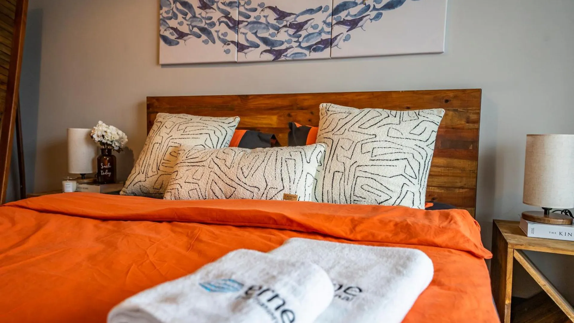 Beyoglu Benesta Residence, 1 Bedroom Apartment No-171 Istanbulská provincie Turecko